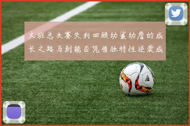 文班总决赛失利回顾幼鲨幼詹的成长之路马刺能否凭借独特性逆袭成功