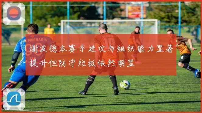 谢泼德本赛季进攻与组织能力显著提升但防守短板依然明显
