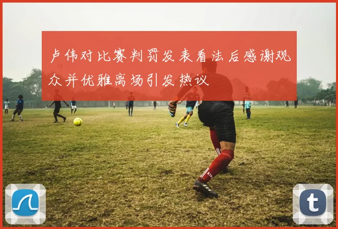 卢伟对比赛判罚发表看法后感谢观众并优雅离场引发热议